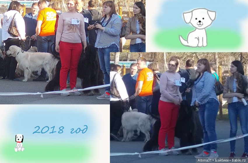 Городские зарисовки... Собачки (фото 8)