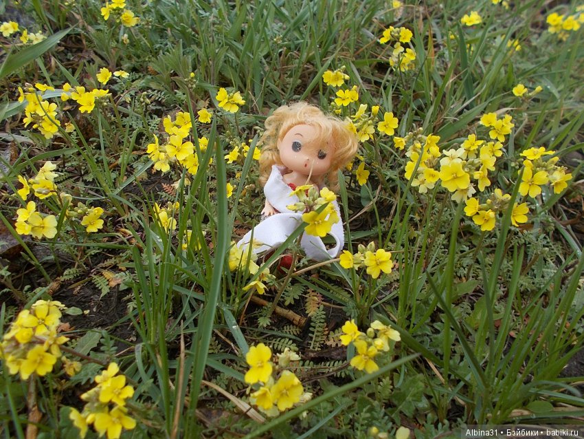 Городские зарисовки... Собачки (фото 4)