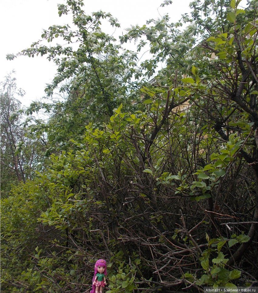 Городские зарисовки. Май 2018