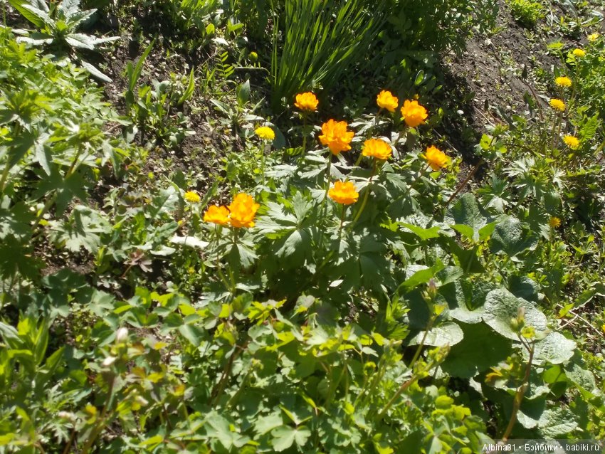 Городские зарисовки. Май 2018 (фото 2)