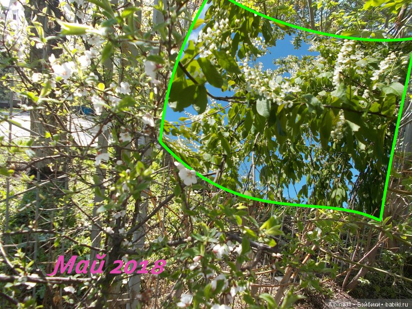 Городские зарисовки. Май 2018