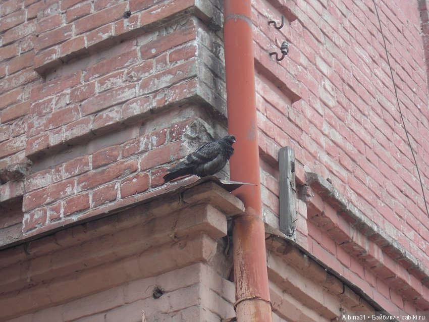 Городские зарисовки. Майские, окончание (фото 9)