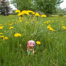 Городские зарисовки... Июнь 2018