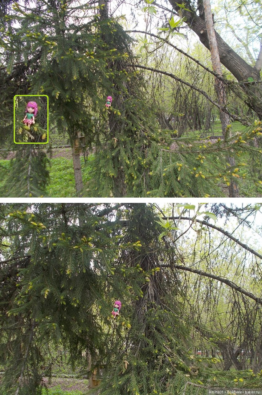 Центральный парк . Начало лета