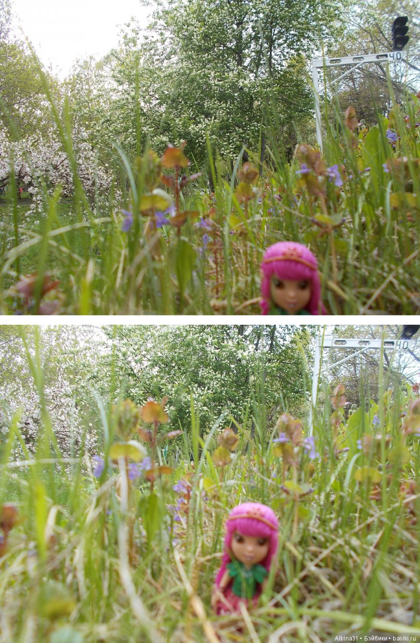 Центральный парк . Начало лета (фото 10)