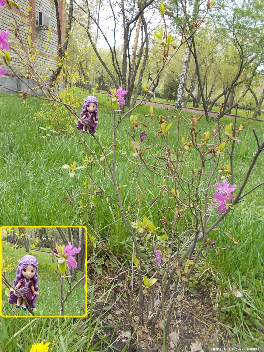 Центральный парк . Начало лета