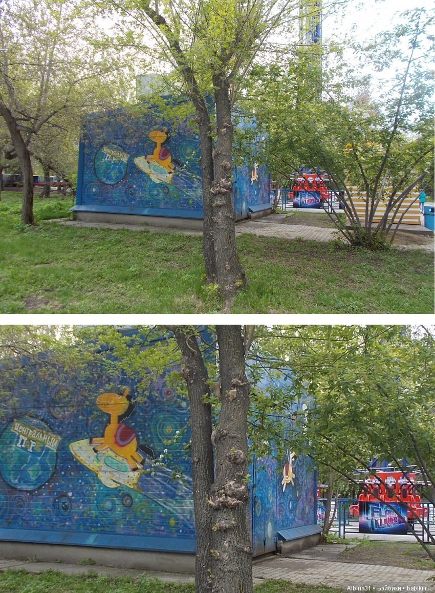 Центральный парк . Начало лета (фото 5)