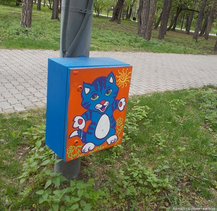 Центральный парк . Начало лета