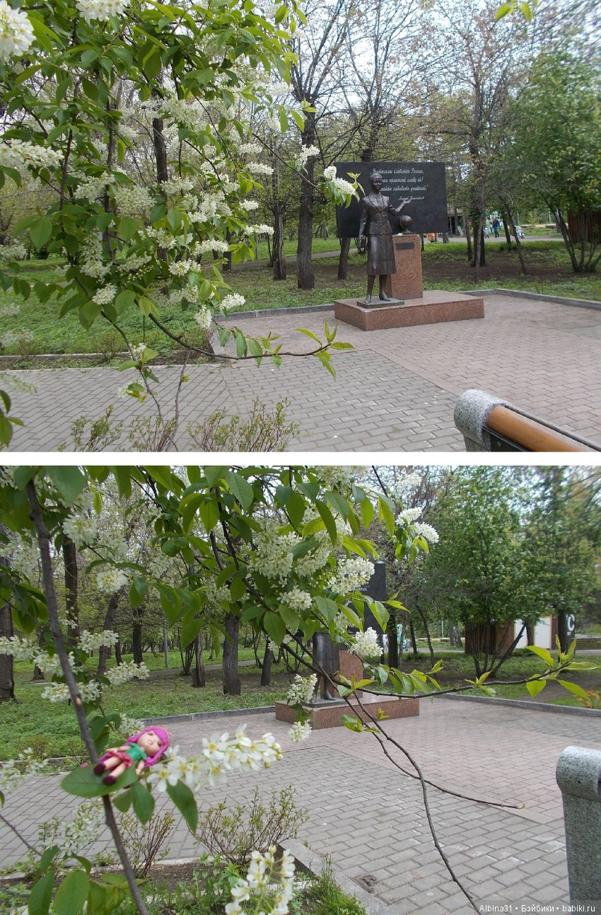 Центральный парк . Начало лета