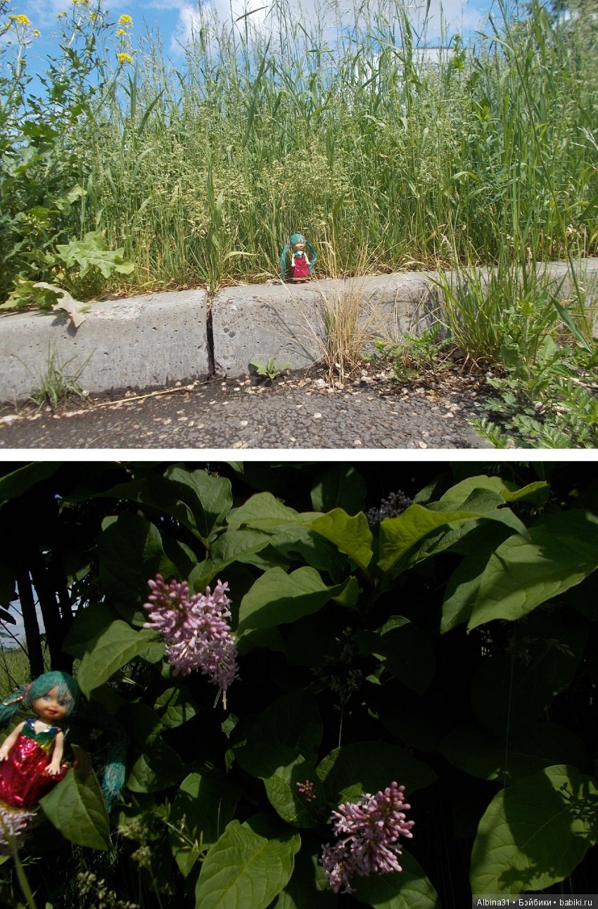 Городские зарисовки... Правый берег, июнь 2018