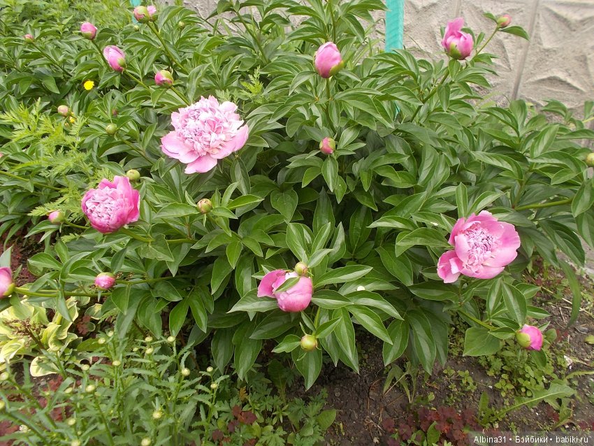 Городские зарисовки... Правый берег, июнь 2018