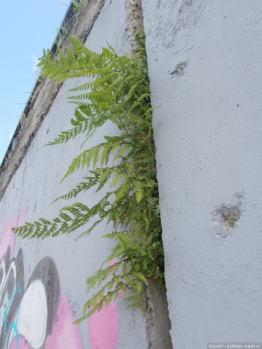 Городские зарисовки... Правый берег, июнь 2018