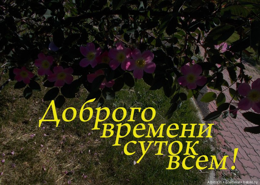 Городские зарисовки... Правый берег, июнь 2018