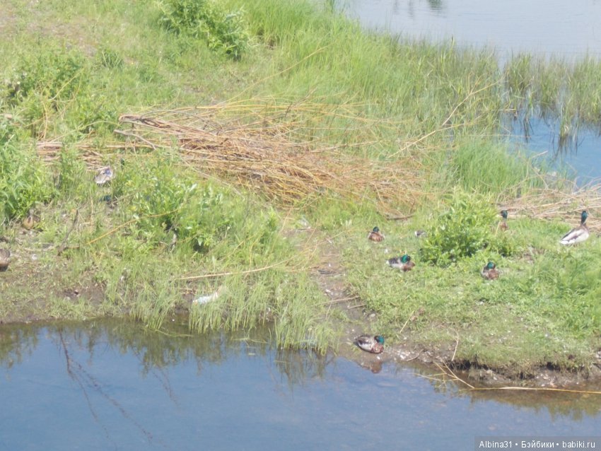 Городские зарисовки... Правый берег, июнь 2018