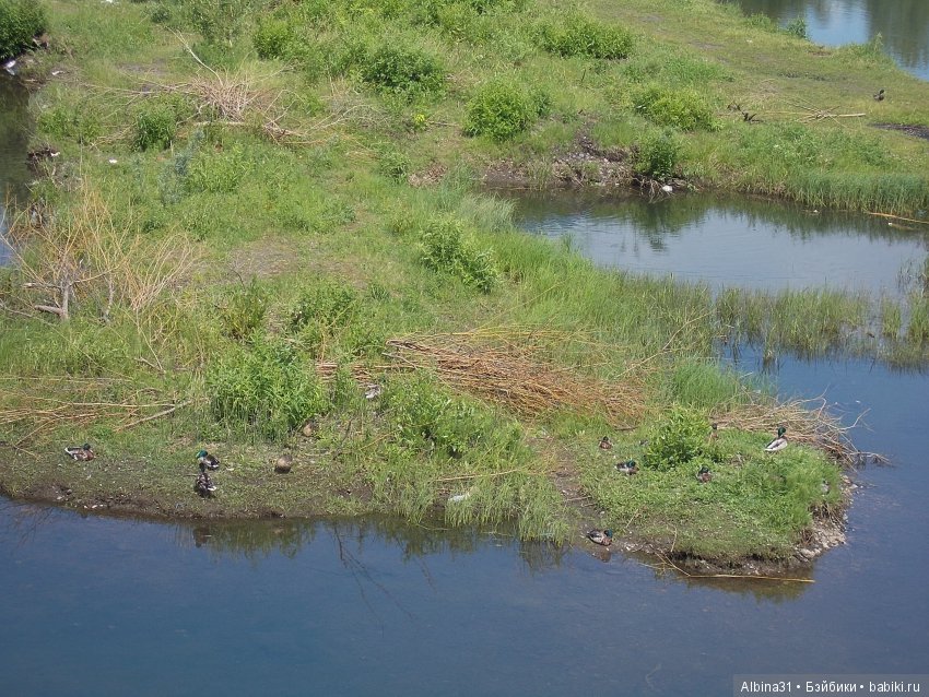 Городские зарисовки... Правый берег, июнь 2018