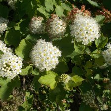 Городские зарисовки...  Правый берег, июнь 2018