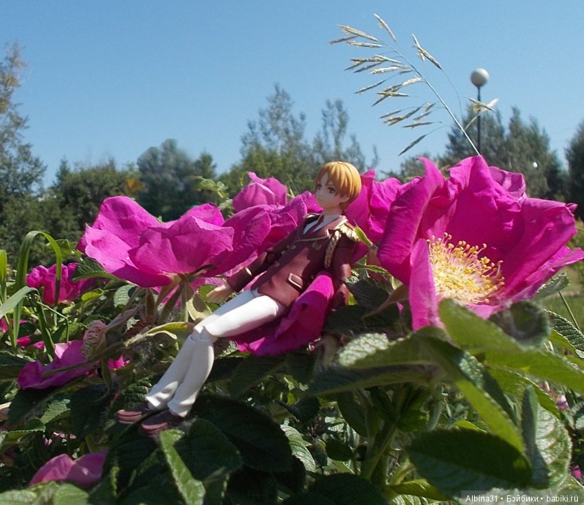 Анонс. Новый япончик . Цветы и рыжий (фото 4)