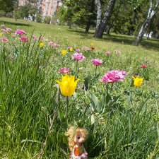 Городские зарисовки...  июнь 2018, окончание