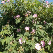 Прошедшее... Творчество