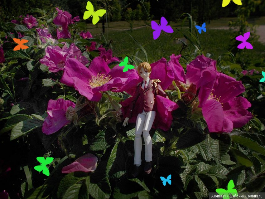 Короли призмы — Аниме куклы (MJD/Винил): Imomo