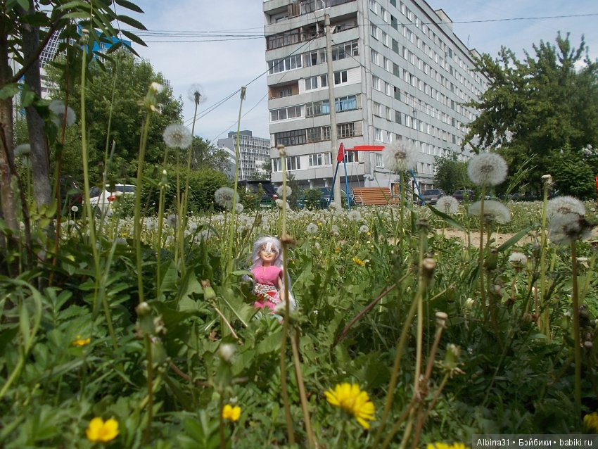 Городские зарисовки... июнь 2018. Самолёт (фото 9)