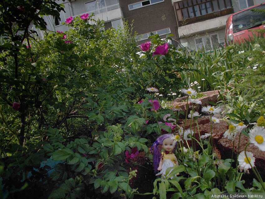 Городские зарисовки... июнь 2018. Самолёт