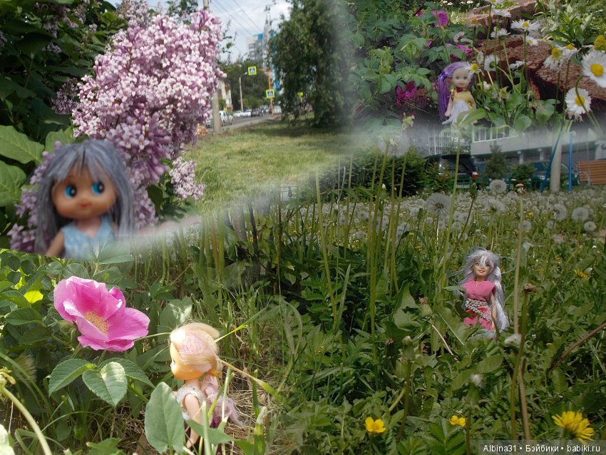 Городские зарисовки... июнь 2018. Самолёт (фото 5)