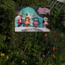 Мои ваколойдики