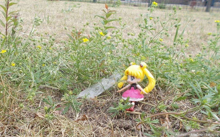 И снова лунные воины — Аниме куклы (MJD/Винил): Imomo