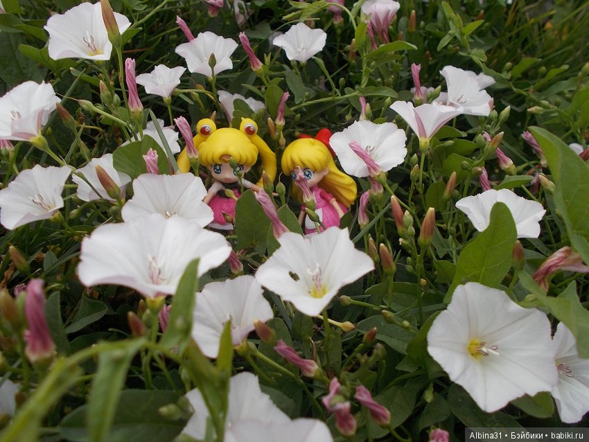 И снова лунные воины — Аниме куклы (MJD/Винил): Imomo