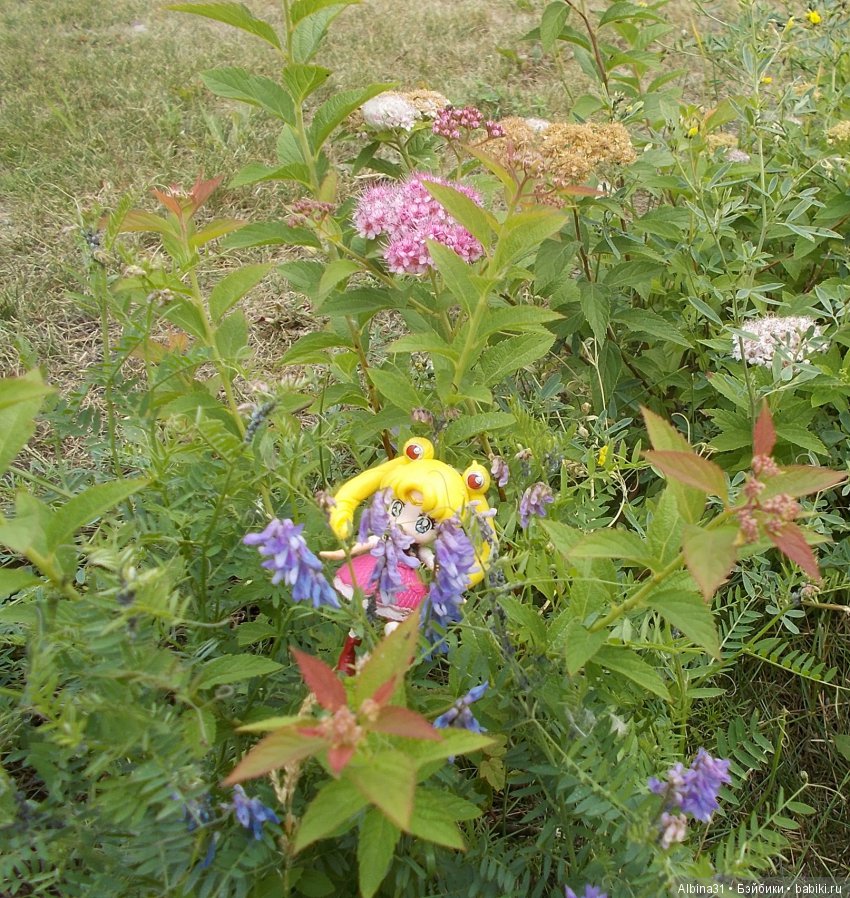 И снова лунные воины — Аниме куклы (MJD/Винил): Imomo (фото 10)