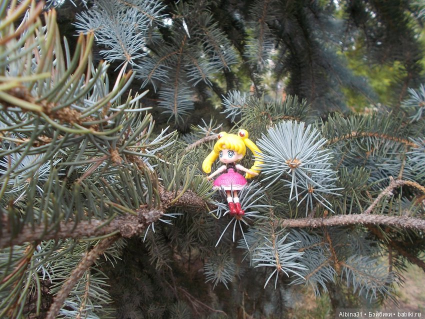 И снова лунные воины — Аниме куклы (MJD/Винил): Imomo