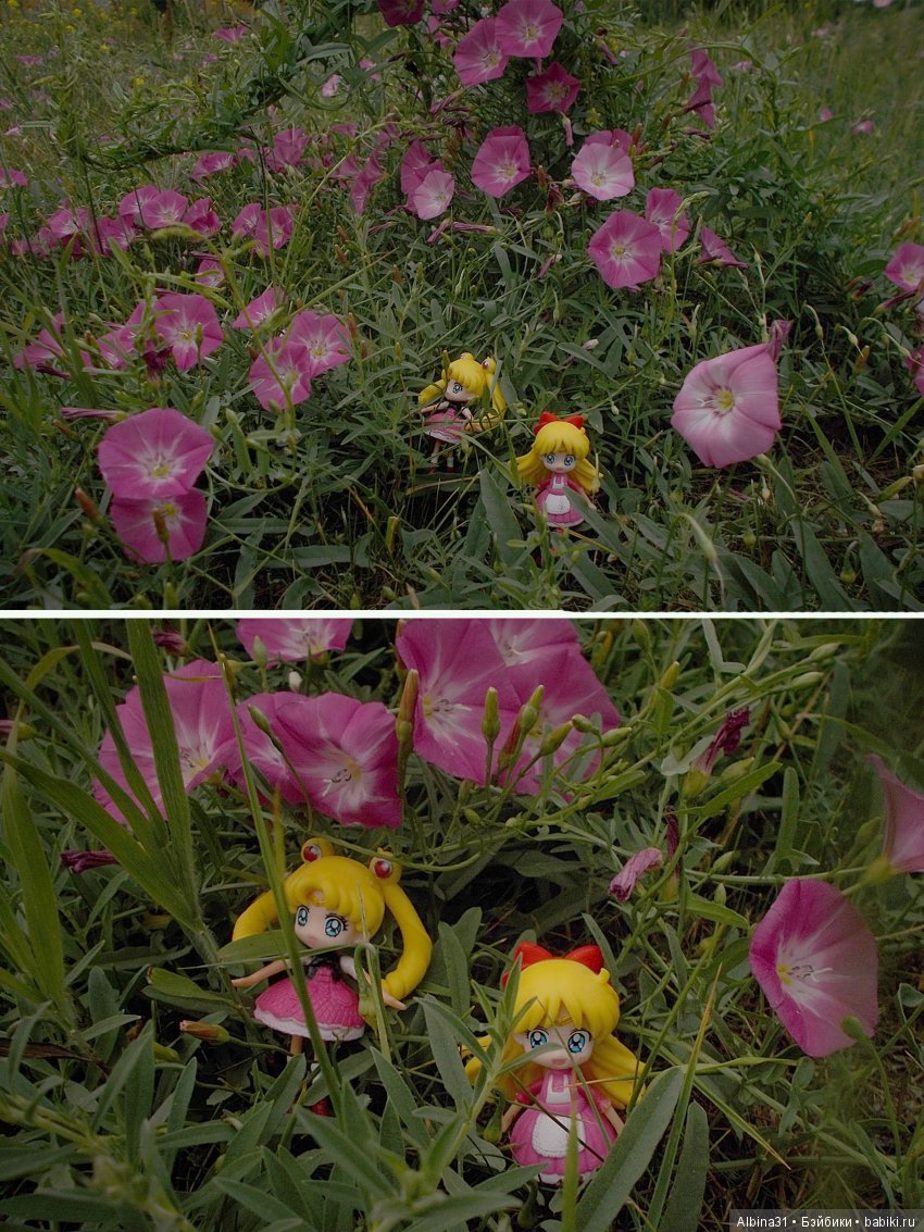 И снова лунные воины — Аниме куклы (MJD/Винил): Imomo