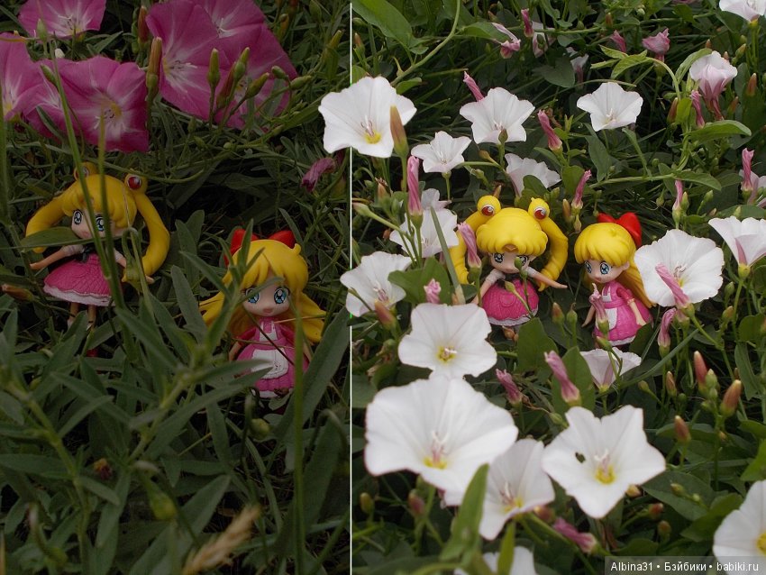 И снова лунные воины — Аниме куклы (MJD/Винил): Imomo