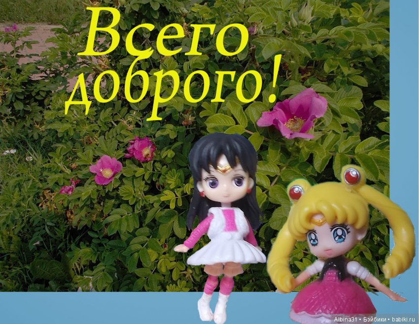 И снова лунные воины — Аниме куклы (MJD/Винил): Imomo