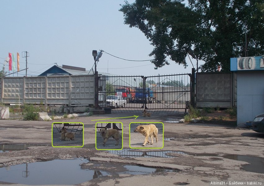 Городские зарисовки... Воспоминание о детстве... Ленинский район | Бэйбики Городские зарисовки... Воспоминание о детстве... Ленинский район