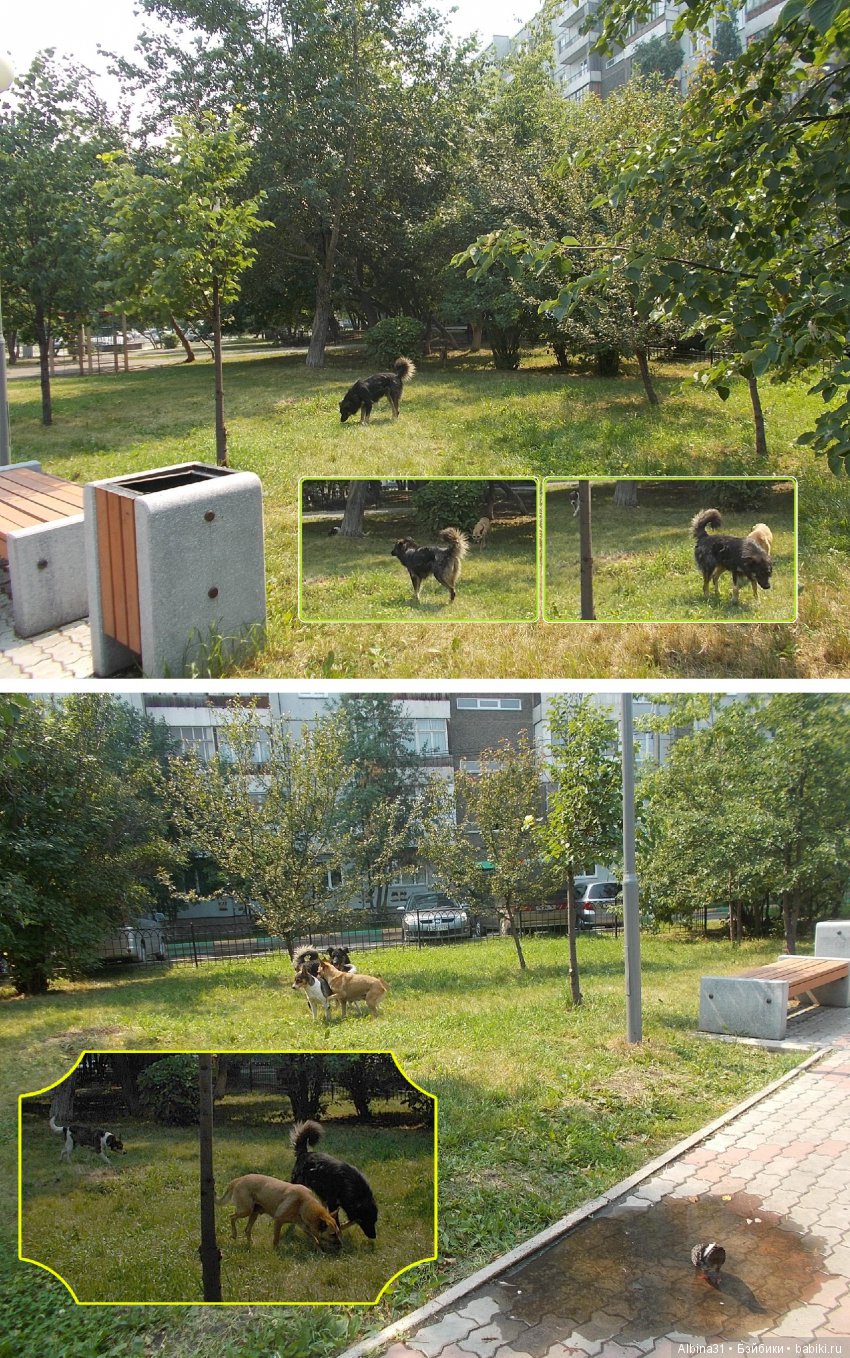 Городские зарисовки... Воспоминание о детстве... Ленинский район | Бэйбики Городские зарисовки... Воспоминание о детстве... Ленинский район