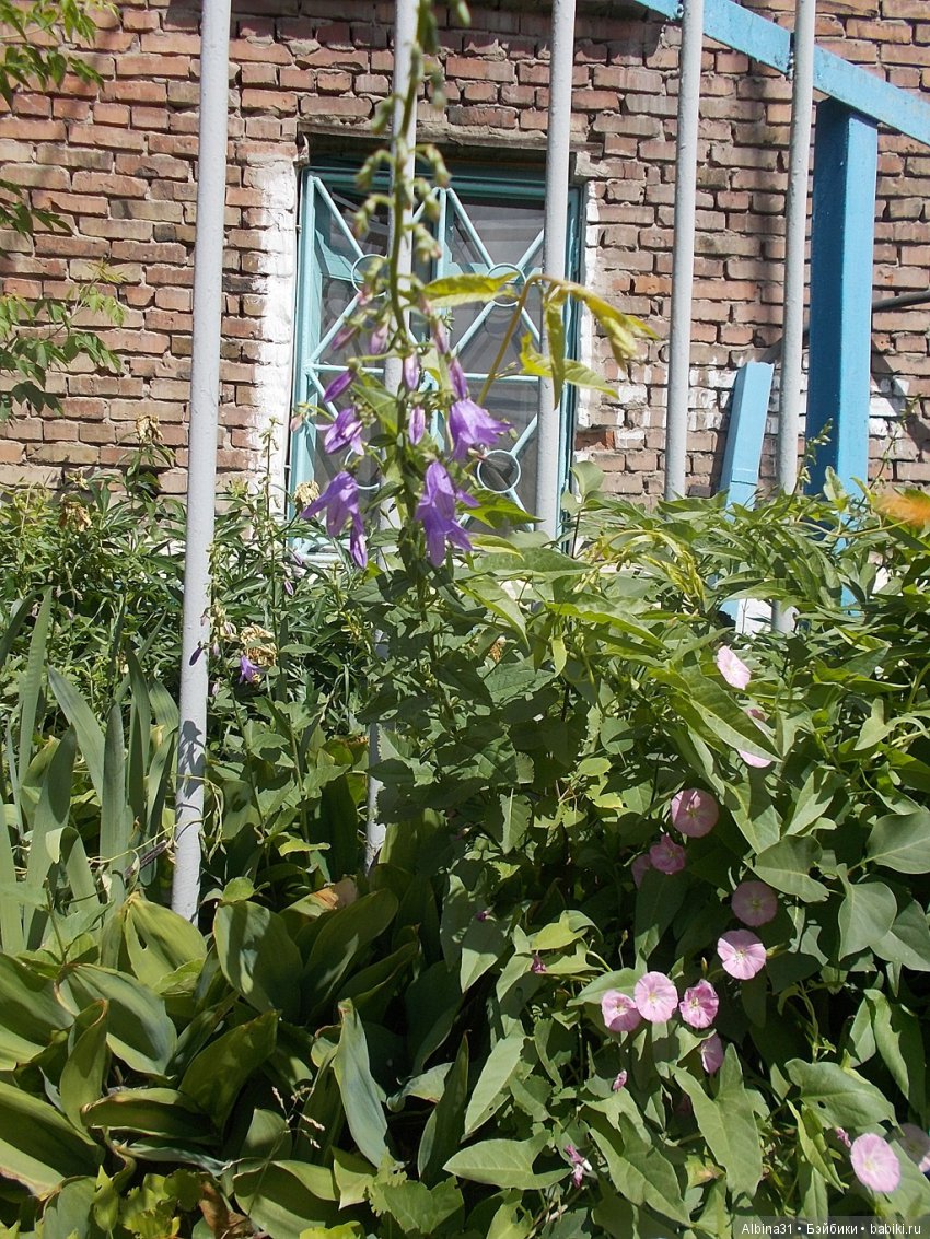 Городские зарисовки... Воспоминание о детстве... Ленинский район