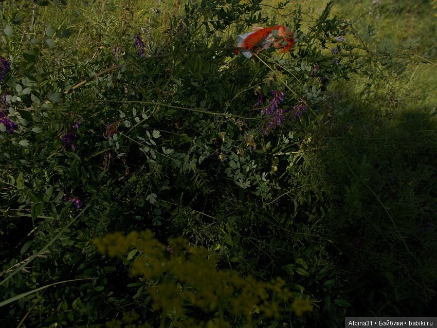 В погоню за сусликом — Болталка и разговоры обо всем: жизнь