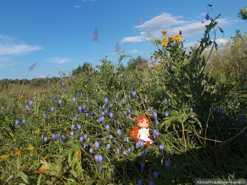 В погоню за сусликом — Болталка и разговоры обо всем: жизнь
