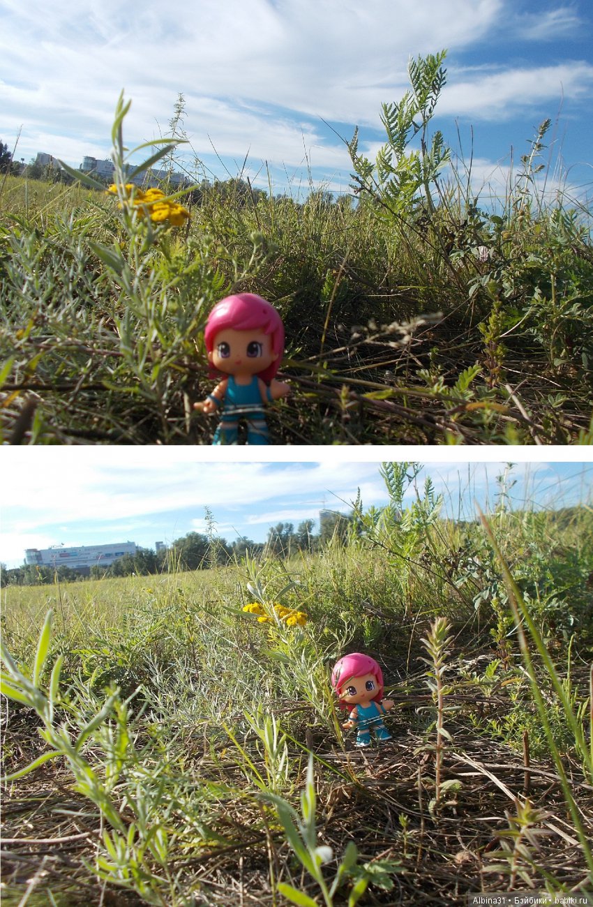 В погоню за сусликом — Болталка и разговоры обо всем: жизнь