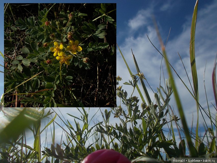 В погоню за сусликом — Болталка и разговоры обо всем: жизнь