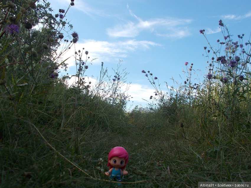 В погоню за сусликом — Болталка и разговоры обо всем: жизнь