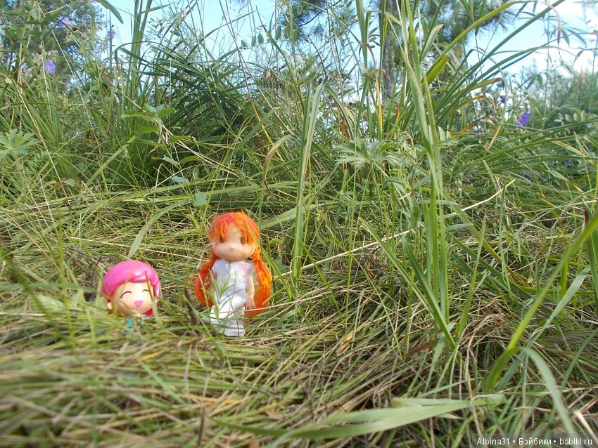 В погоню за сусликом — Болталка и разговоры обо всем: жизнь (фото 8)