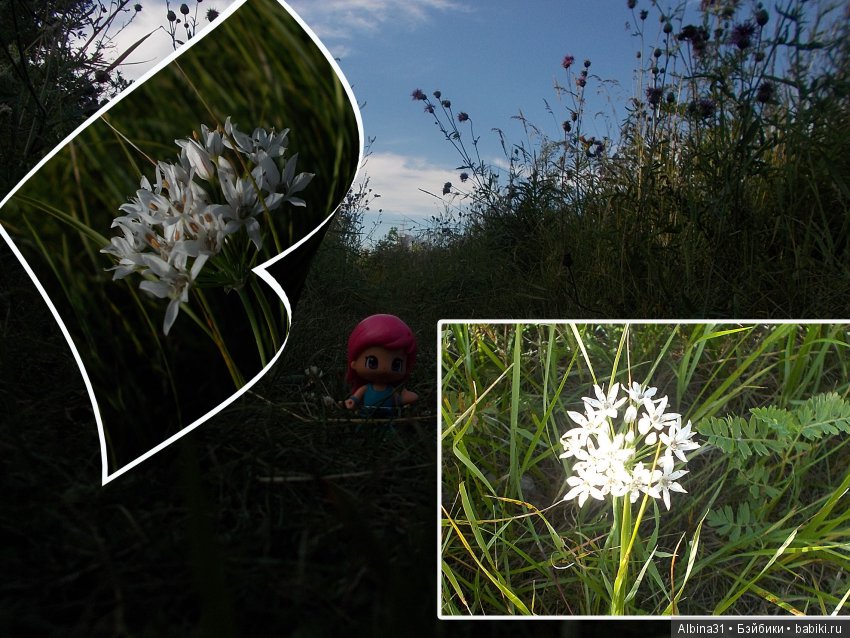 В погоню за сусликом — Болталка и разговоры обо всем: жизнь