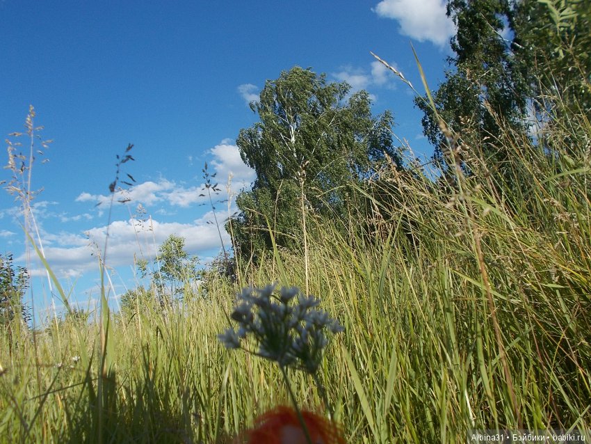 В погоню за сусликом — Болталка и разговоры обо всем: жизнь