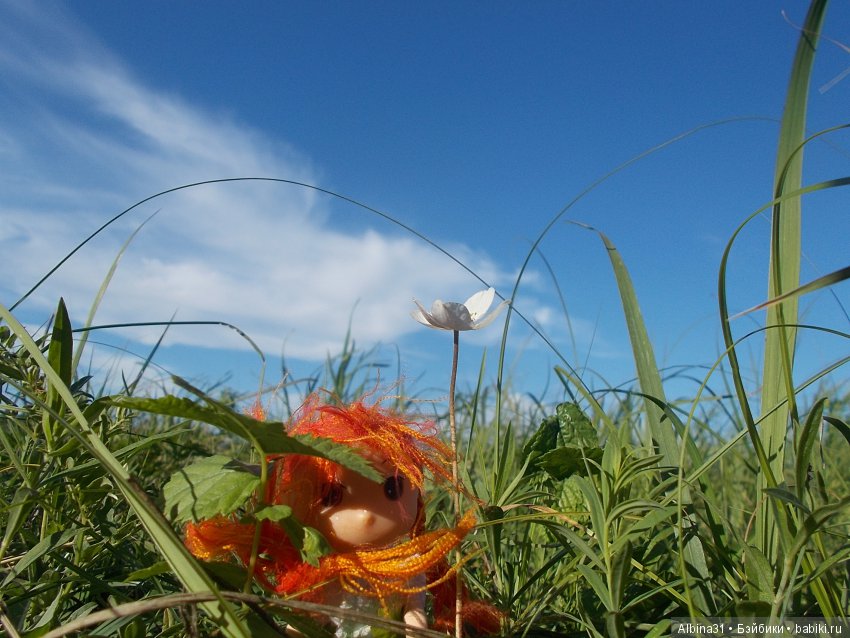 В погоню за сусликом — Болталка и разговоры обо всем: жизнь