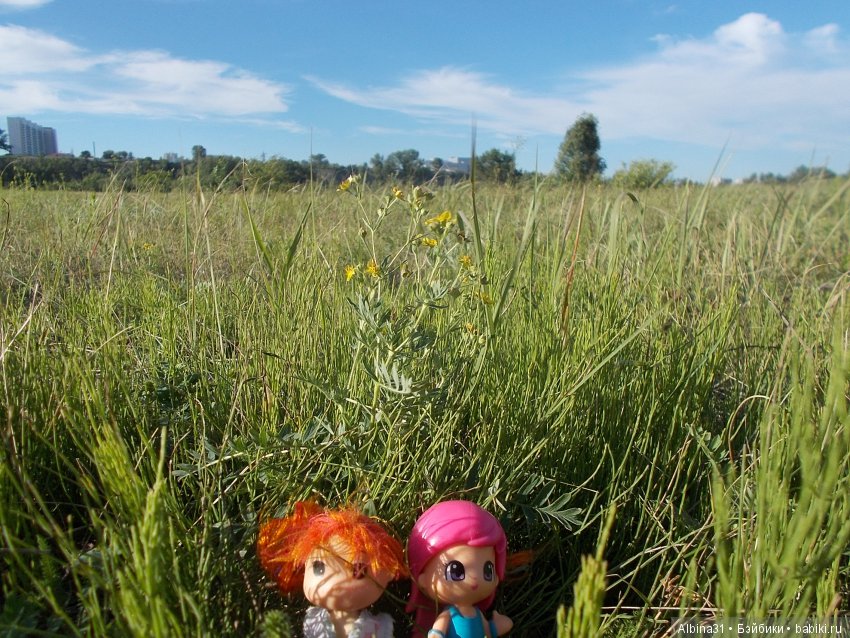 В погоню за сусликом — Болталка и разговоры обо всем: жизнь