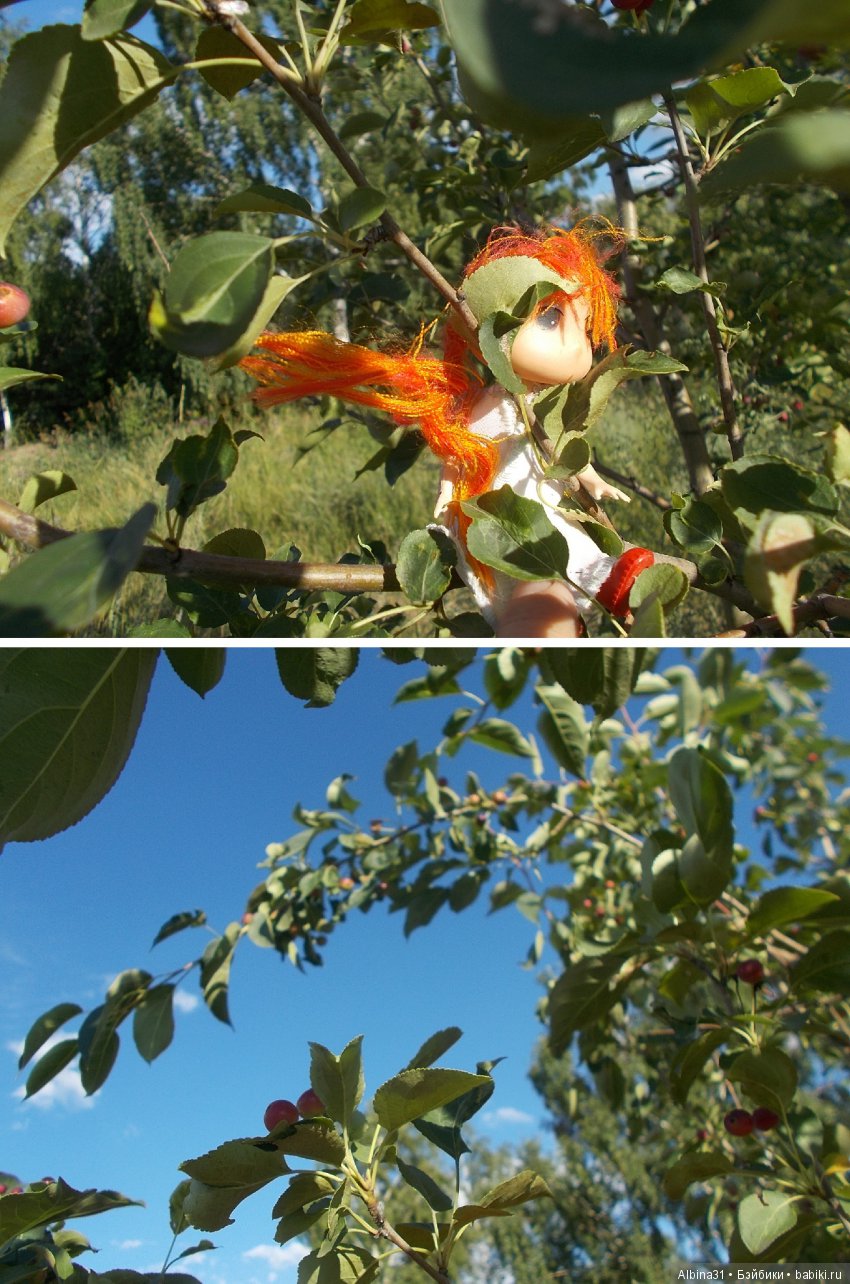 В погоню за сусликом — Болталка и разговоры обо всем: жизнь