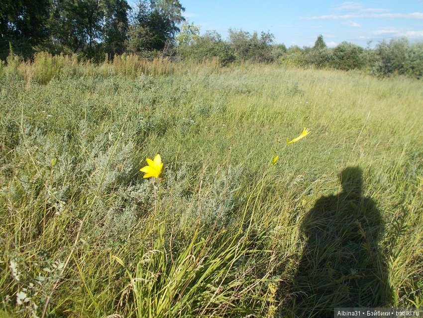В погоню за сусликом — Болталка и разговоры обо всем: жизнь